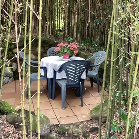 Habitaciones Para Peregrinos Al Pie Del Camino Vigo