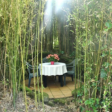 Habitaciones Para Peregrinos Al Pie Del Camino Apartmán