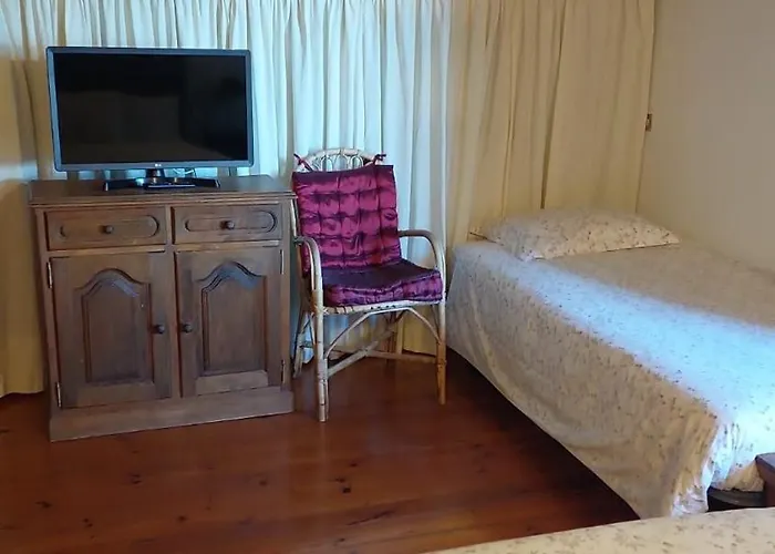 Peregrinos Al Pie Del Camino Vigo