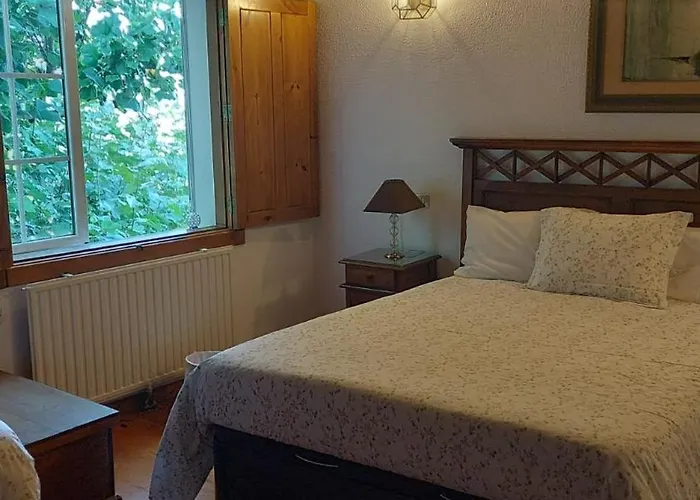 Peregrinos Al Pie Del Camino Daire