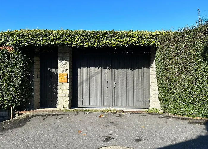 Peregrinos Al Pie Del Camino Vigo